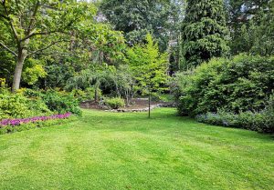 Optimiser l'expérience du jardin à Louchy-Montfand